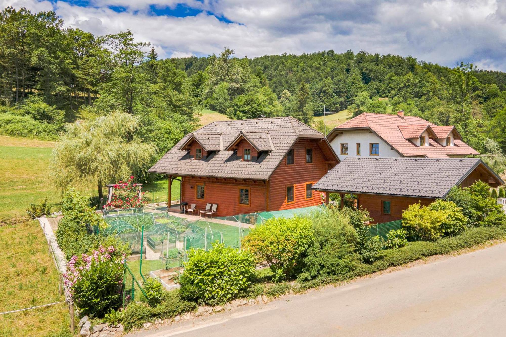 Apartma Metka Medvode Dış mekan fotoğraf